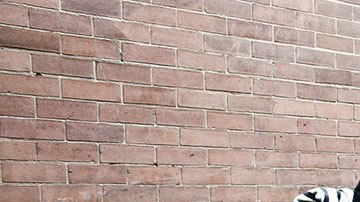 La basura de unos es el tesoro de otros.