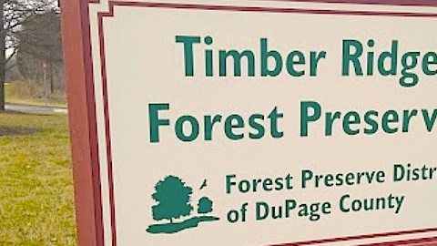 Reserva Forestal en DuPage, Illinois.