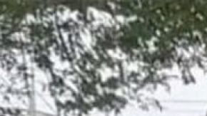 El cuerpo sin vida de Samantha Bustos-Vital fue hallado en Compton.