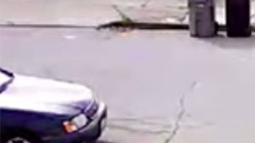 El momento del asalto al abuelo.