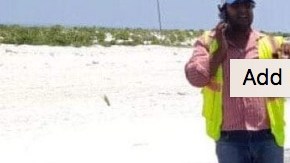 Tortuga verde deja sus huevos en una pista de aterrizaje.