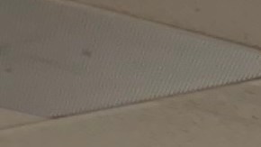 La Coalición por los Derechos de los Inmigrantes (CHIRLA), lanzó una campaña para que  los adultos mayores se hagan ciudadanos antes de que Trump se las ponga más difícil. (Araceli Martínez/La Opinión).