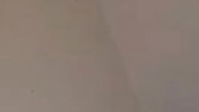 Sheriffs del condado de Placer, someten a un enfermo mental.