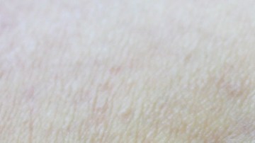 shutterstock_1201894471