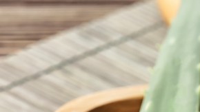 shutterstock_1208897563