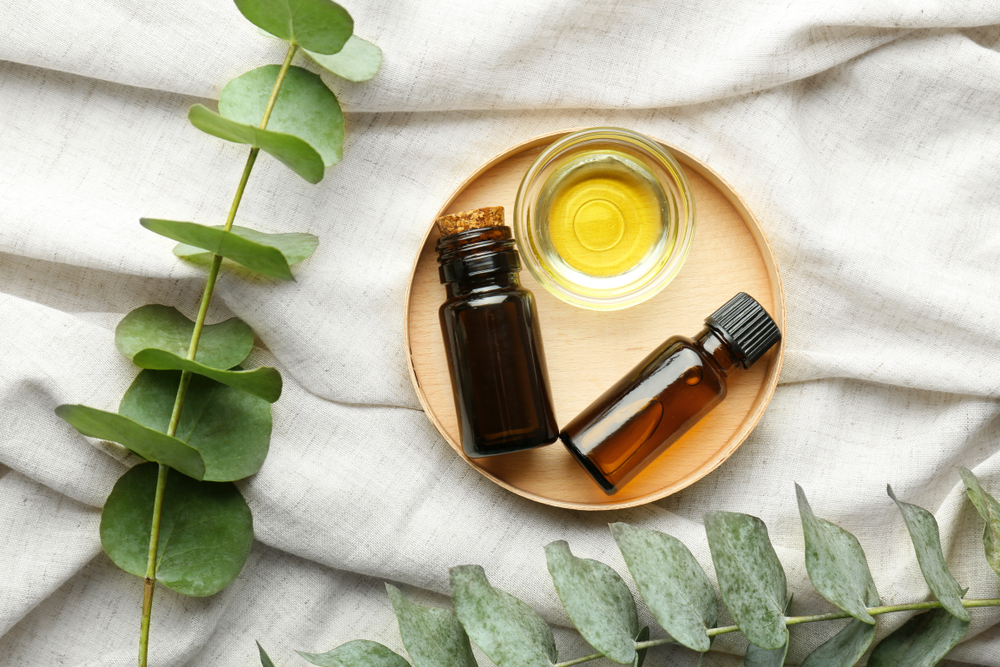 Para qué sirve el aceite de eucalipto y cómo usarlo? | La Opinión