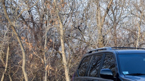 Lexus GX
