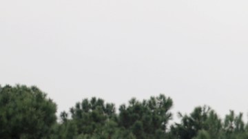 Clase A Compacto Mercedes Benz