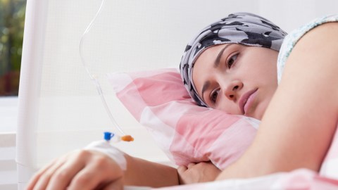 Foto: Shutterstock