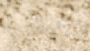 Los amigos dejaron a su suerte a este chico bajo la arena.