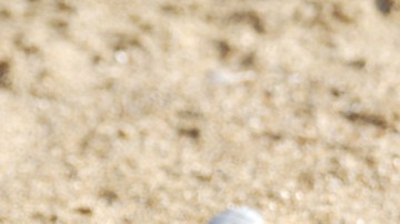 Los amigos dejaron a su suerte a este chico bajo la arena.