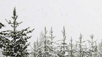 Conducir en la nieve ya es de por sí complicado.