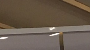 Tom Steyer participa en un mitin en Glendale, Los Ángeles.