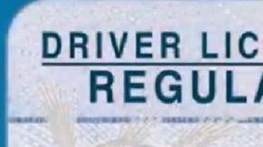 La nueva licencia tiene una estrella en un círculo en la parte superior derecha.