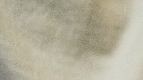 Uno de los pacientes perdió la cabeza en contra de otro de los internos.