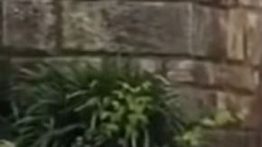 Dallas: Mujer amenaza con llamar a ICE porque camión de comida la molesta.