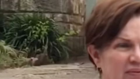 Dallas: Mujer amenaza con llamar a ICE porque camión de comida la molesta.