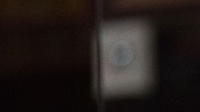 Warren Buffett ya lleva 20 años siendo parte de esta curiosa y lucrativa subasta.