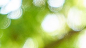 ¿Y a tu pareja qué es lo que le gusta beber?