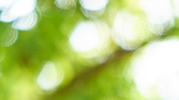 ¿Y a tu pareja qué es lo que le gusta beber?