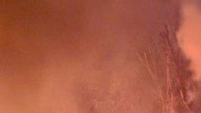 Incendios forestales