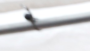 Silvia Cadena recibe besos de sus hijos Anthony Cadena y Christina Archibald. / foto: Aurelia Ventura.