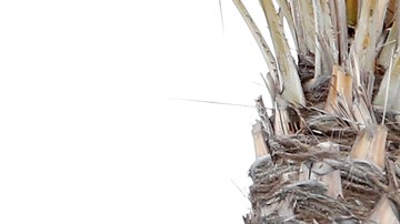 Activistas de la comunidad LGBTQ+, funcionarios y miembros de la comunidad participaron en la reinauguración del parque Harvey Milk. (Aurelia Ventura).