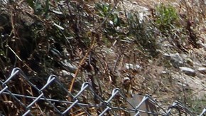 Indigentes que viven en casas rodantes en North Hollywood.