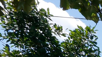 Desamparados en Los Angeles