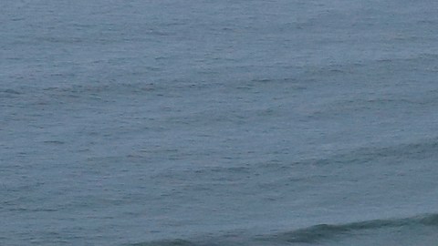 Estudiantes de Los Ángeles forman una figura en la playa, después de limpiarla.