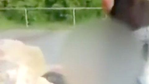 El hombre fue filmado orinando a plena luz del día.