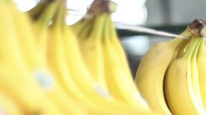 106631697_gettyimages-816311012