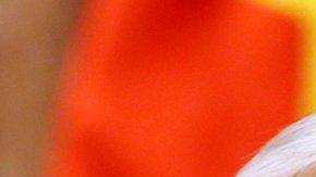 106778222_053561853-1