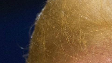 Trump responde con fuerza a fiscales de Massachusetts que intentan mantener a ICE fuera de las cortes