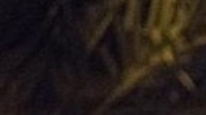 ICE quiere retener a dos salvadoreños.