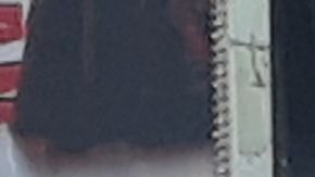 De Blasio sueña con un puesto en el avión de las primarias demócratas