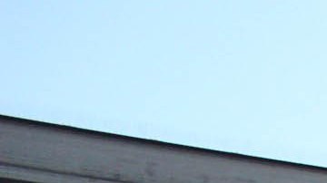 Patrulla Fronteriza captura el mayor grupo de inmigrantes en la frontera. Gobierno de EEUU