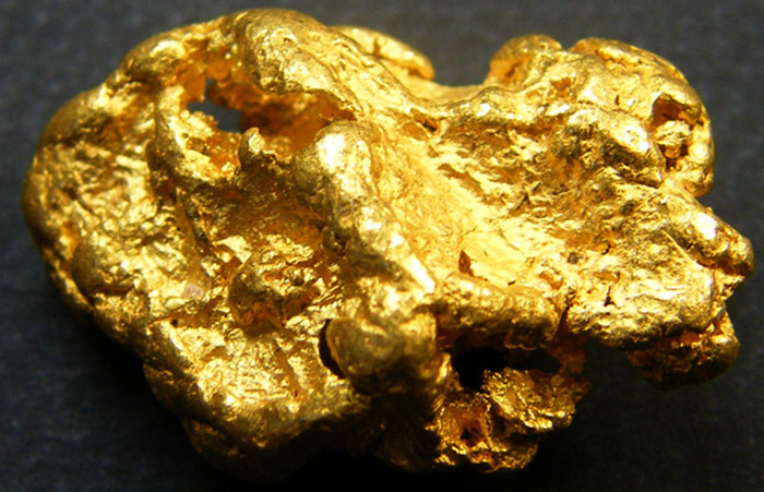 Roca de oro que encontró una familia.