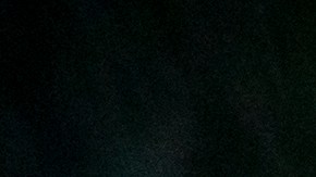 Durante más de 55 años, los soldados de La Vieja Guardia han honrado a los héroes caídos.