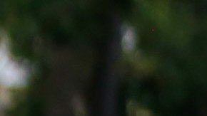 Maduró reaccionó este jueves exigiendo a los militares desarmar a los "traidores" y "golpistas".