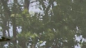 Iker pidió respeto para su familia, y que cese el hostigamiento contra ellos.