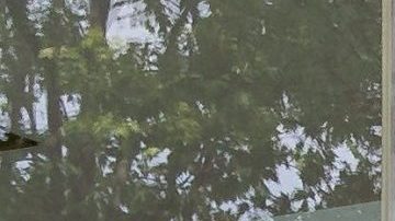 Iker pidió respeto para su familia, y que cese el hostigamiento contra ellos.