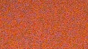 El nuevo embajador mexicano en Malasia intervino en el caso de los hermanos González Villarreal.