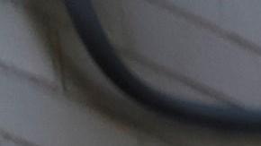 Seguidores de Juan Guiadó celebran la expulsión de los activistas de la embajada.