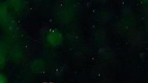 Cristiano Ronaldo llegó a la Juventus para triunfar en la Serie A.