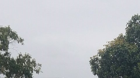 El conductor y el pasajero de un Acura se encuentran en condiciones críticas de salud.