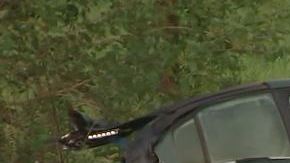 El conductor salió disparado. El hermano fue encontrado en una de las dos partes que quedaron partidas.