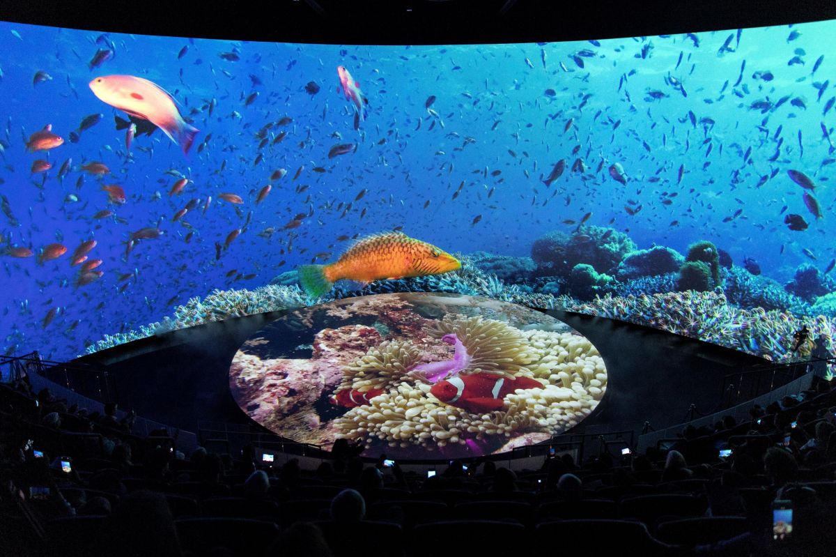  La sala Honda Pacific Visions Theater exhibe una película sobre los océanos en "Pacific Visions", nueva ampliación del Acuario del Pacífico de Long Beach.