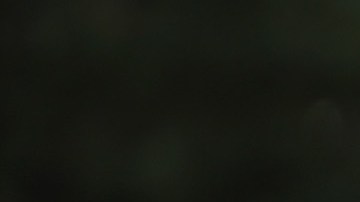 Trump anunció en 2017 la retirada de EEUU del Acuerdo de París.