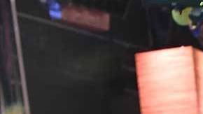 Adamari López y Toni Costa.